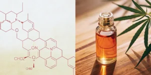 Split screen: left shows red chemical structure diagram on a white background, right shows a cannabis oil dropper bottle and a cannabis leaf on a wooden surface.