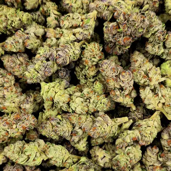 Pile of Chernobyl THCA Flower buds with vibrant green color and orange pistils.