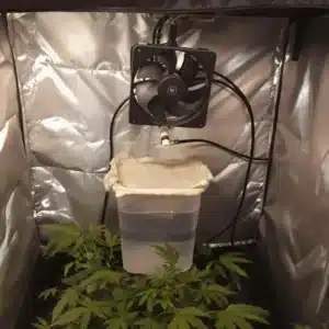 DIY humidifier setup for grow tent with small fan, plastic container, and wicking material to boost cannabis plant growth.