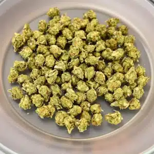 Cannabis buds prepared for drying pot in microwave on a microwave-safe plate.