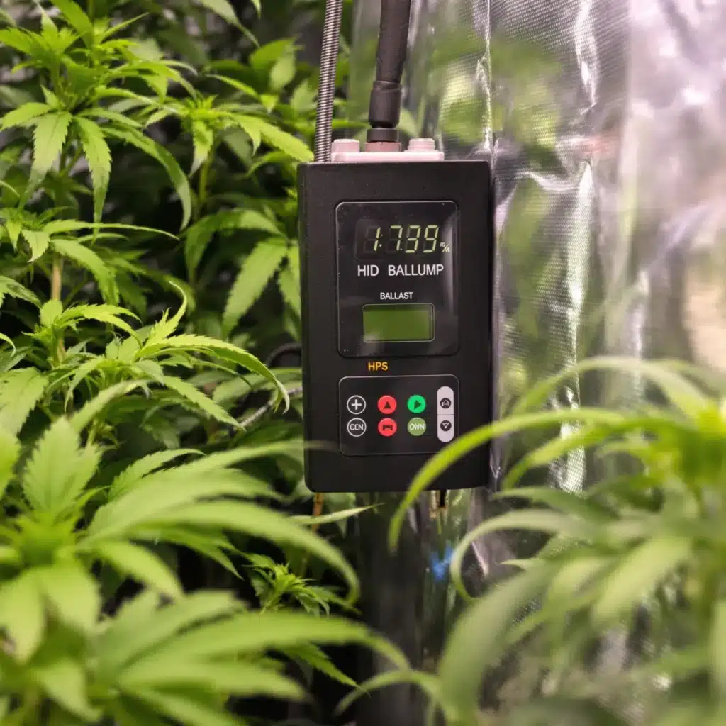 Digital HID lamp ballast in a cannabis grow tent, connected to an HPS lamp with thriving plants nearby.