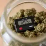 Curing jar with hygrometer displaying ideal humidity, demonstrating how to raise humidity in a curing jar.