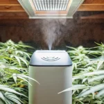 Hyper-realistic indoor cannabis grow room: humidifier emitting mist among lush cannabis plants under bright overhead light.