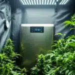 Cannabis grow tent with a humidity monitor reading 50% for ideal conditions