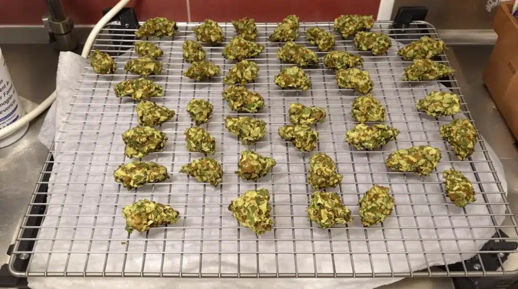 Clean drying rack and cannabis buds sanitized with hydrogen peroxide
