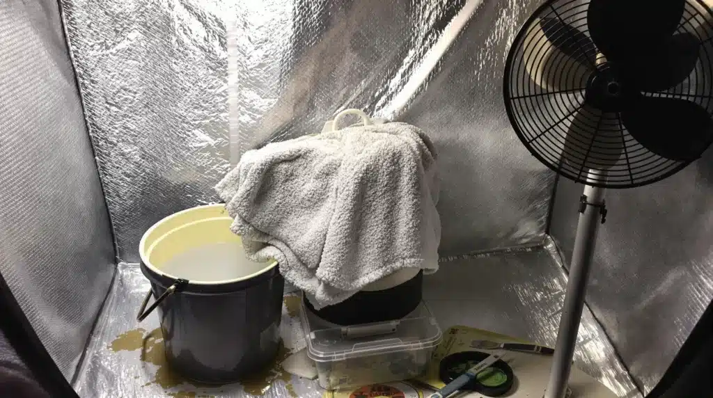 DIY humidifier in grow tent to combat low humidity leaf curl using a bucket, towel, and fan.