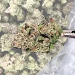 Purple Haze THCA Flower close-up with dense, purple buds and frosty trichomes.