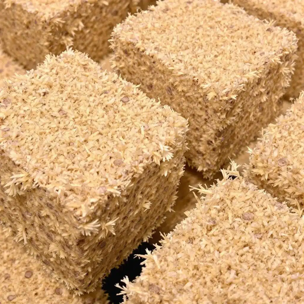 Rockwool cubes ready for cannabis seed germination, soaked and showing fibrous texture.