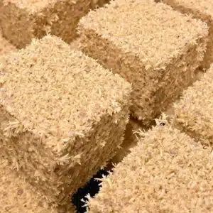 Rockwool cubes ready for cannabis seed germination, soaked and showing fibrous texture.