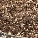 Best soil mix for autoflowers with organic potting soil, perlite, and coco coir for optimal growth.