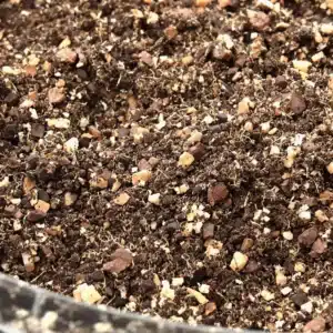 Best soil mix for autoflowers with organic potting soil, perlite, and coco coir for optimal growth.