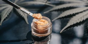 Hyper-realistic close-up of a metal dab tool scooping golden THCA badder from a glass jar, with blurred cannabis leaves in the background.