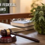 Hyper-realistic illustration showing a judge's gavel, books, and cannabis plant on a wooden table, with text "THCA UNDER FEDERAL CANNABIS LAWS" and "IS THCA LEGAL IN FLORIDA?".