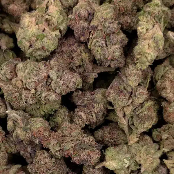 Pile of Tiramisu THCA Flower buds with frosty trichomes and purple-green hues.