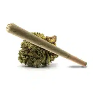 Z Runtz pre-roll resting on a dense cannabis bud with vibrant orange hairs.