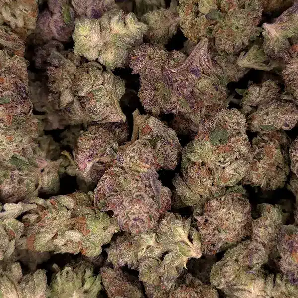 Pile of Z Runtz THCA Flower buds with frosty purple tones and green accents.