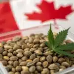 Cannabis seeds in a clear container with a green cannabis leaf and Canadian flag in the background.
