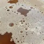 Brewing the best compost tea for flowering cannabis with aerated water and organic nutrients.