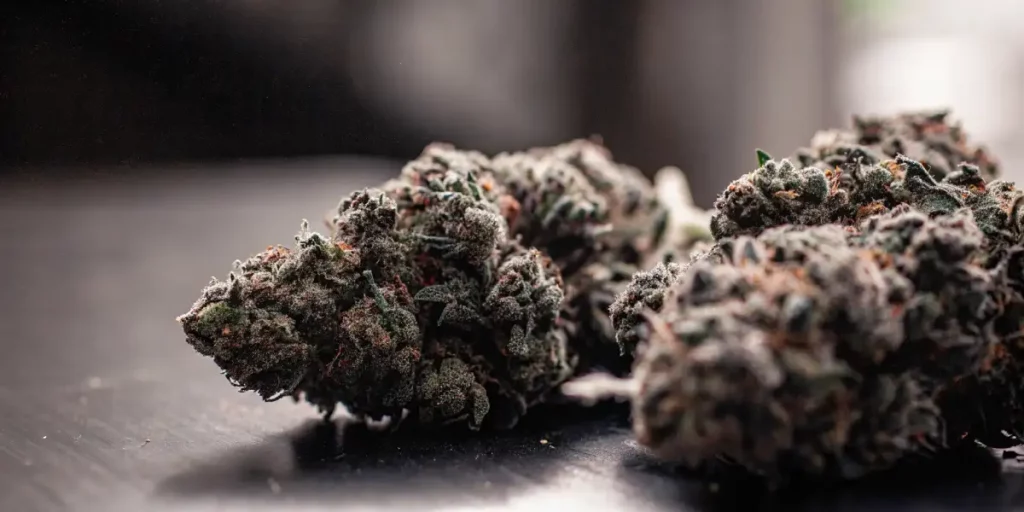 Close-up of frosty cannabis buds with purple and green tones, showing dense trichomes.