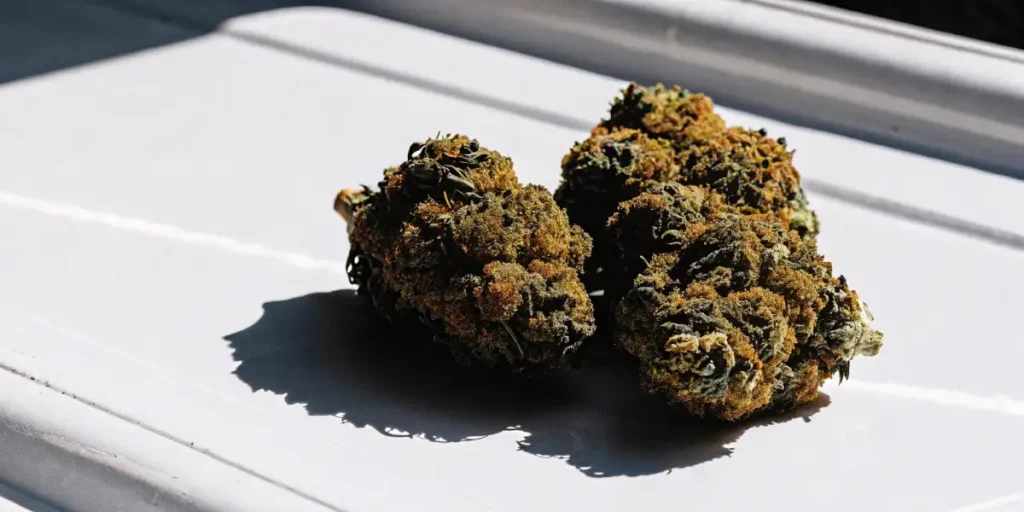 Dense cannabis buds with a frosty coating on a white surface, showcasing orange hairs and rich green hues.