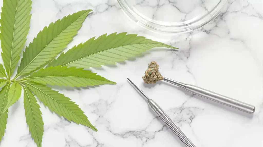 THCA hash bud and extraction tools on marble surface