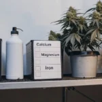 Indoor cannabis plants beside macronutrient supplement containers