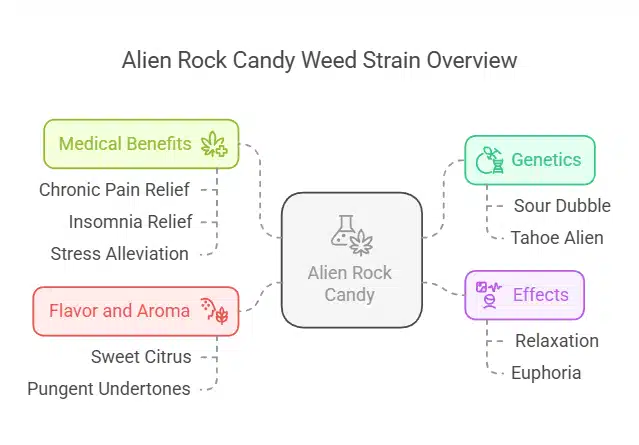 Infographic detailing Alien Rock Candy's genetics, medical benefits, sweet citrus flavor, and relaxing effects.