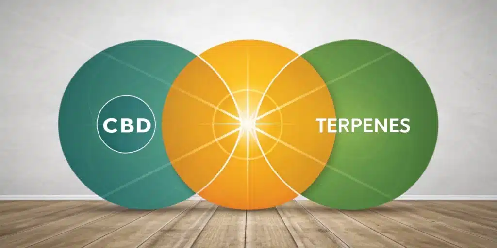 Venn diagram with overlapping circles labeled CBD and Terpenes, symbolizing their combined therapeutic effects and synergy on a wooden floor