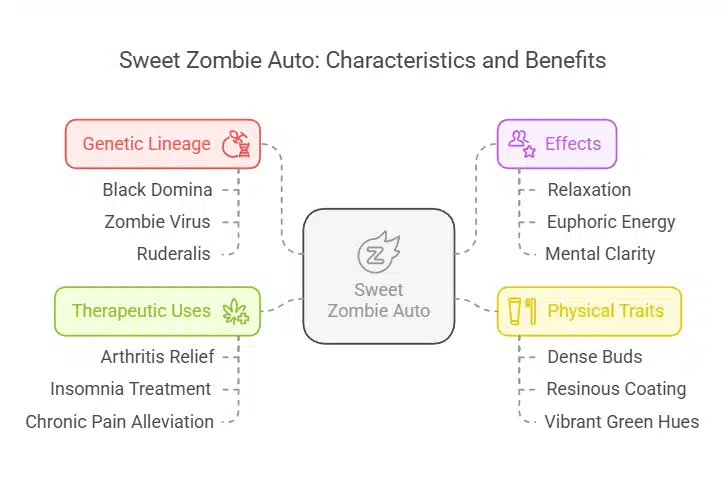 Infographic of Sweet Zombie Auto fem, illustrating genetic lineage, therapeutic uses, physical traits, and effects