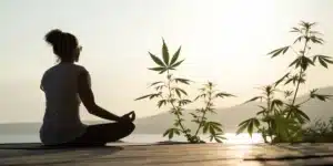 Person meditating outdoors with cannabis plants in the background, representing cannabis for mental health.