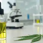 A diverse group of adults sitting in a circle in a relaxed room, engaged in a discussion.