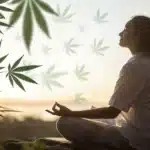 Peaceful woman in a seated meditation pose at sunrise, with floating cannabis leaf graphics and surrounding natural foliage