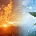 Split image of fiery sunset and cool blue cannabis field, overlaid with molecular structures, illustrating the dual calming and energizing effects of cannabinoids.