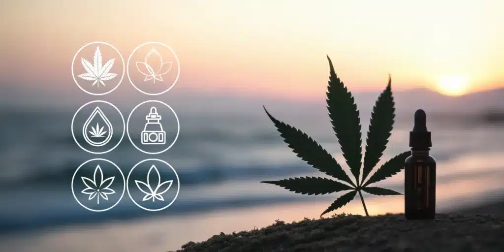 Cannabis leaf and tincture bottle on a beach at sunset, surrounded by icons of cannabis oil and plant extracts, suggesting calming and therapeutic uses