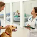 Male vet petting a golden retriever, talking to a female vet with a clipboard in a bright clinic with kennels.