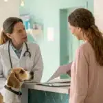 Veterinarian advising pet owner on safe anxiety treatments, underscoring that cannabis for dogs with anxiety is not recommended.