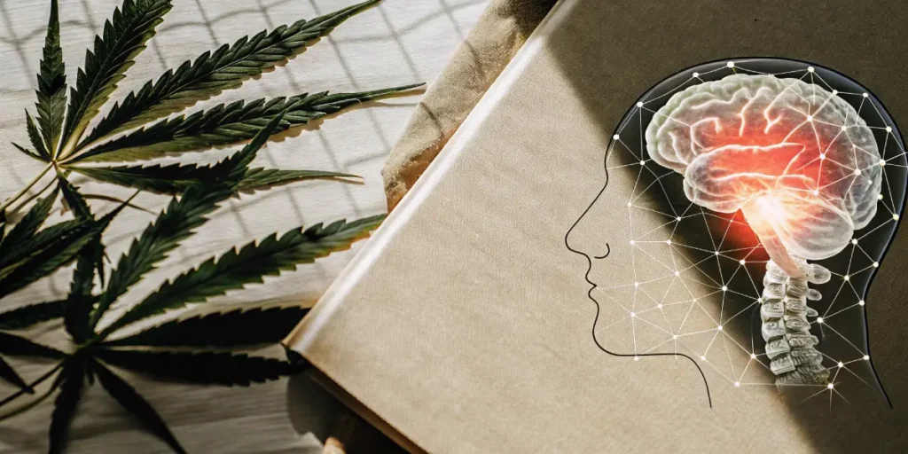Dew-covered cannabis plant with lush green leaves glistening in morning light