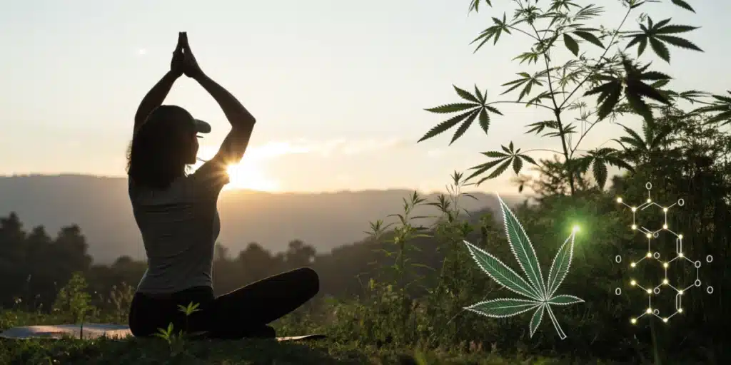 Woman practicing yoga at sunrise near cannabis plants, symbolizing the potential benefits of weed for muscle spasms