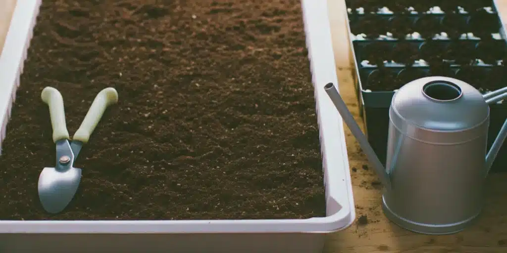 Gardening tools and a watering can beside a tray of soil and a seedling starter tray, preparing for autoflower week 1.