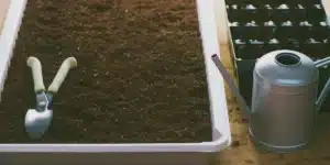 Gardening tools and a watering can beside a tray of soil and a seedling starter tray, preparing for autoflower week 1.