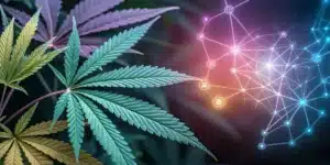 Close-up of colorful cannabis leaves next to a glowing, futuristic network graphic symbolizing technology and data connections