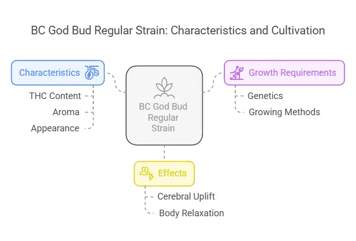 Diagram outlining the characteristics, effects, and growth requirements of BC God Bud Regular Strain, with color-coded sections.