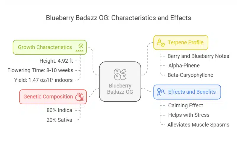 Close-up of Blueberry Badazz weed strain bud covered in frosty trichomes, with deep green and purple hues, orange pistils, and a dense structure.