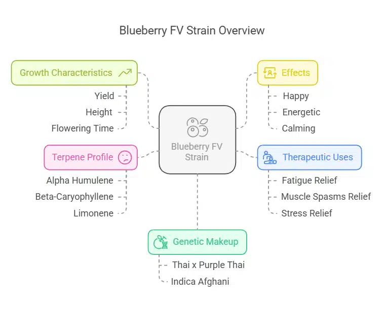 Blueberry FV strain overview chart displaying genetic lineage, terpene profile, effects, therapeutic uses, and growth characteristics in a structured infographic
