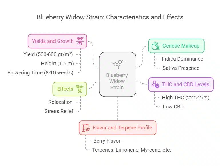 Blueberry Widow strain infographic detailing genetic makeup, effects, terpene profile, THC and CBD levels, yield, and flowering time