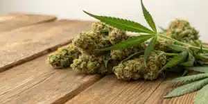 CBD Flower buds with rich texture and vibrant colors on a wooden table.