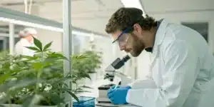 Realistic image of a scientist analyzing cannabis extracts labeled CBG and CBN in a modern lab setting with precise digital instruments.