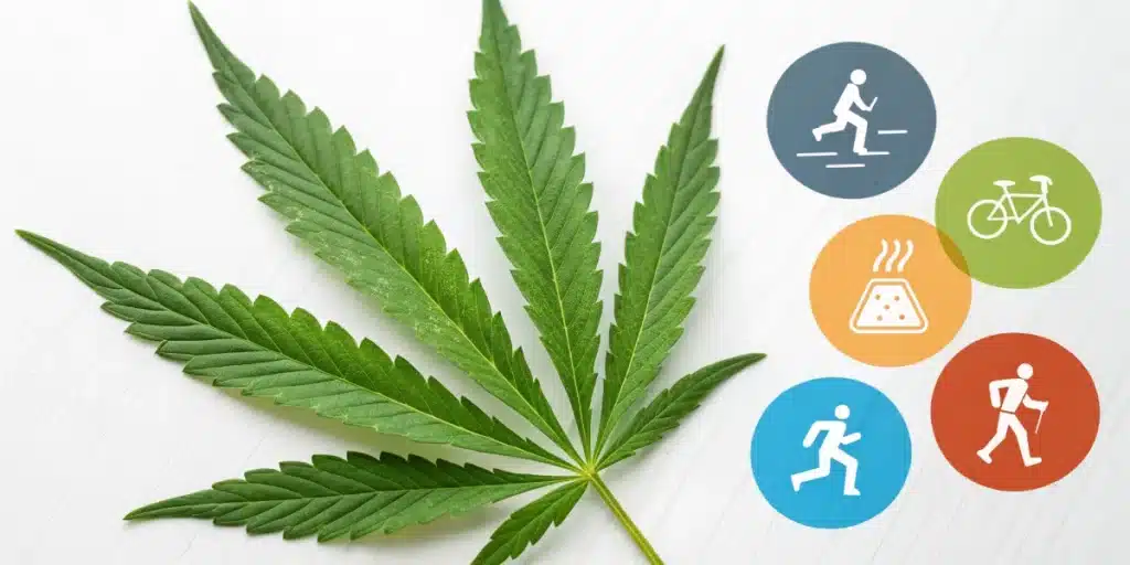 A green cannabis leaf on a white background, accompanied by five colorful circular icons depicting various activities like running, cycling, and hiking.