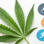 A green cannabis leaf on a white background, accompanied by five colorful circular icons depicting various activities like running, cycling, and hiking.
