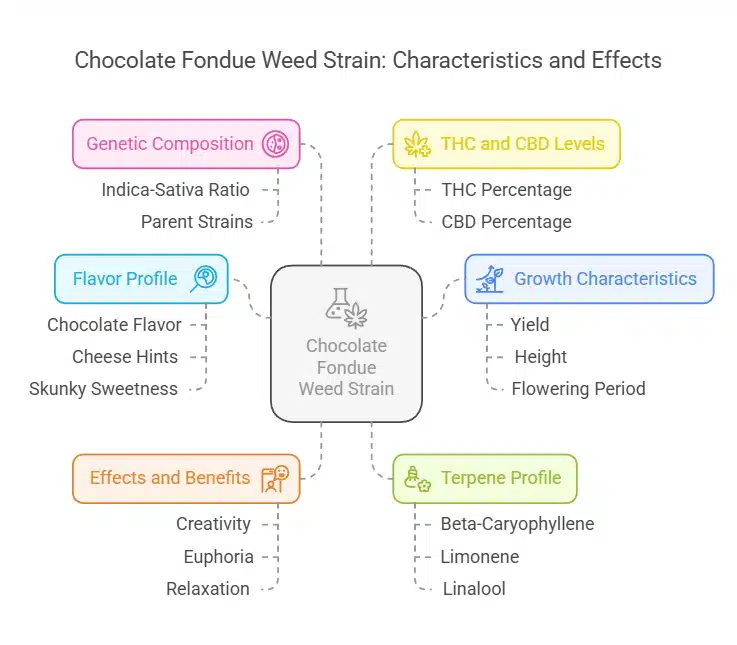 Diagram highlighting Chocolate Fondue Weed Strain characteristics, including genetics, cannabinoid levels, growth traits, terpene profile, and effects